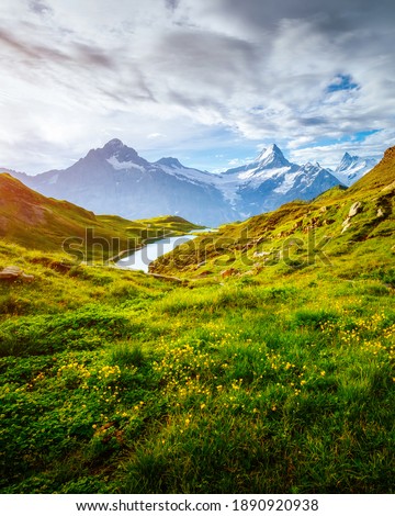 Great view of the Schreckhorn and Wetterhorn peaks. Location place Bachalpsee, Swiss alps, Switzerland, Grindelwald valley, Europe. Photo of popular tourist attraction. Discover the beauty of earth. 