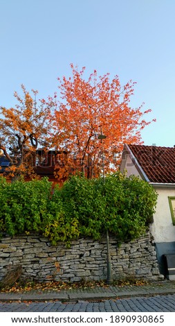 A picture i took in Visby, Gotland when it was autumn.