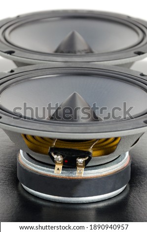 Loudspeakers. Car audio drivers. Close up
