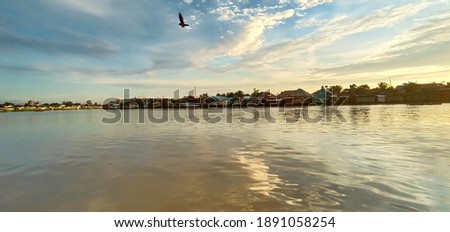 an eagle in the sky circling the river