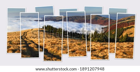 Isolated ten frames collage of picture of fantastic autumn landscape of Carpathian mountains. Foggy morning view of the mountain valley with old country road. Mock-up of modular photo.
 
