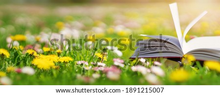 Open book in the grass on the field on sunny day in spring. Beautiful meadow with daisy and dandelion flowers at springtime. Reading and knowledge concept Royalty-Free Stock Photo #1891215007