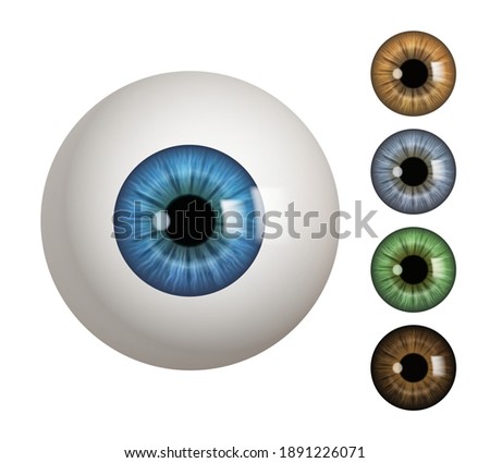 Human eyeball. People anatomical items macro view vision 3d medical decent vector symbols Royalty-Free Stock Photo #1891226071
