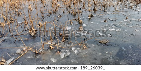 Winter in Hangzhou West Lake.