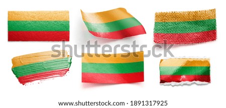 Set of the national flag of Lithuania on a white background