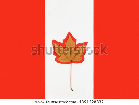 Maple leaf on a red paper background in the form of a flag. Flat lay