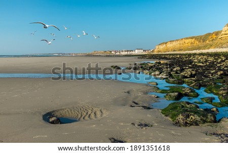 Scenic view of seagulls flying over the beach of Wimereux along the French Opal Coast.