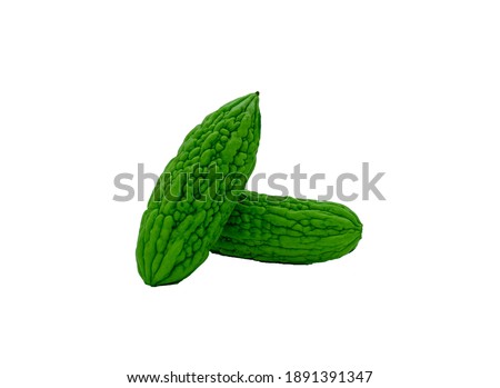 Green Bitter Melon also known as bitter gourd or Momordica charantii isolated on white background. Saved with clipping path. 