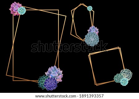 Bronze geometric frames with succulents. Drawn clip art kit on black background
