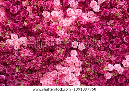 Backdrop of red and pink roses,Flowers wall background,Wedding decoration Royalty-Free Stock Photo #1891397968