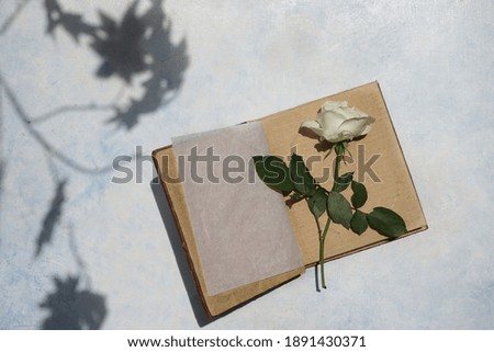 white flower and old book with texture background