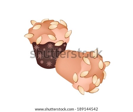 Snack and Dessert, Delicious Homemade Cupcake Muffin with Almonds Isolated on White Background. 