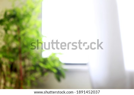 unfocused blur view of interior of office window with plant in cloudy weather as background