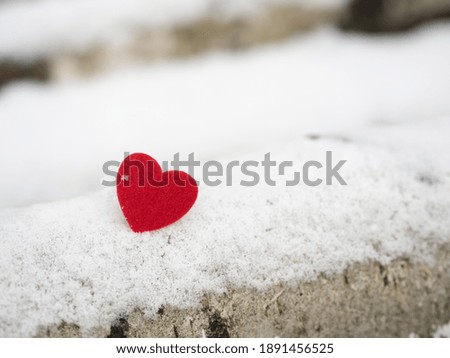 red heart on the snow, valentine's day, love 