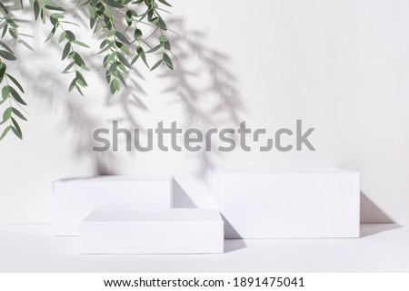White background for cosmetic products. Rectangular podiums with the shadow of the branches of the eucalyptus.