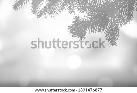 Blurred overlay effect for photo. Gray shadows of fir tree branches on a white wall. Abstract nature concept
