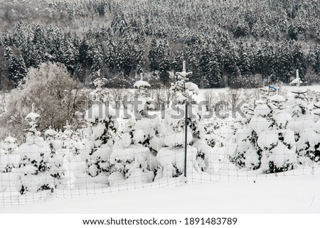 winter landscape in the "eifel" in germany