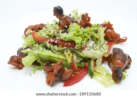 salad of octopus and cabbage leaves on a white background