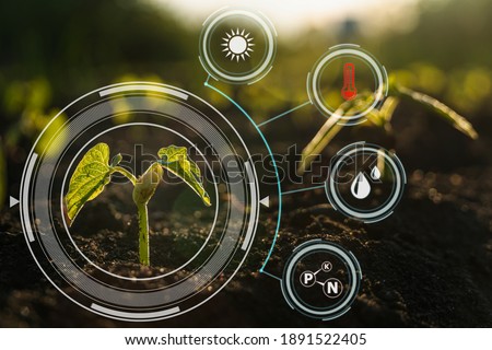 Smart farm technology: plant sprout growing in soil with infographics icons and red alert icon of temperature for environmental