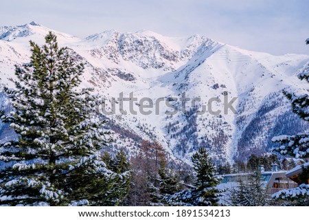 Winter snow-covered forest in the mountains. Picturesque and gorgeous winter scene. Location place ski resort Auron, France. Alps ski resort. 