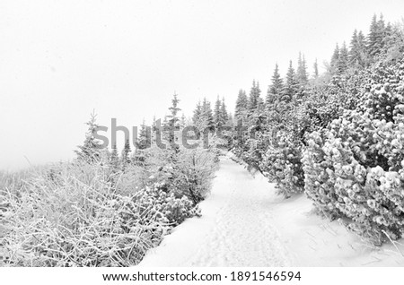 Black and white picture of a mountain path during heavy snowfall.