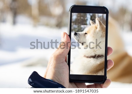 taking photo of dog in snow with smartphone