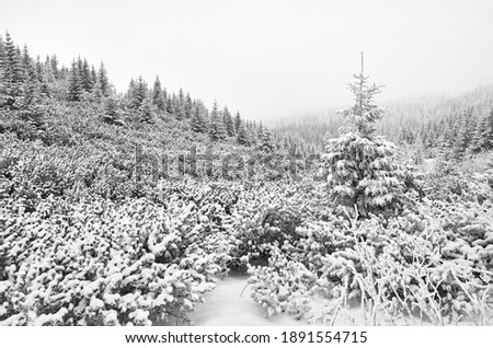Black and white picture of a mountain landscape during heavy snowfall.