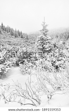 Black and white picture of a mountain landscape during heavy snowfall.