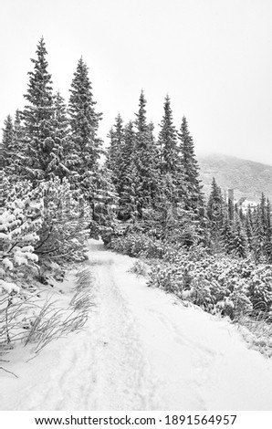 Black and white picture of a mountain path during heavy snowfall.