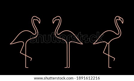 Flamingo outline. Isolated flamingo on white background