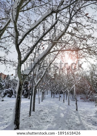 Winter urban landscape. Snow-covered city. Urban furniture with snow. Tree branches with snowflakes. Selective focus.