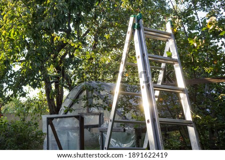 ladder in the garden, Gardening concept Royalty-Free Stock Photo #1891622419