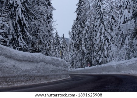 a mountain road bordered by very high snow walls and snow-covered fir trees, a beautiful mountain road in winter time
