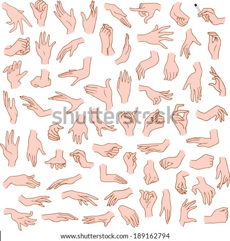 Vector illustrations pack of woman hands in various gestures. 