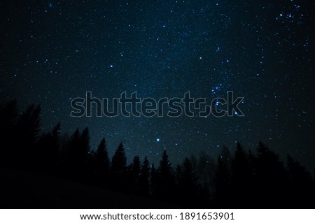 Forest against the background of the starry sky in the Carpathian mountains