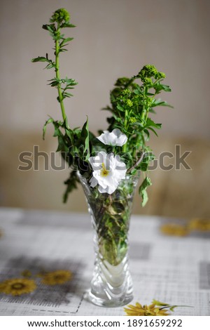 A bouquet of grass and white flowers in a glass vase stands on the kitchen table