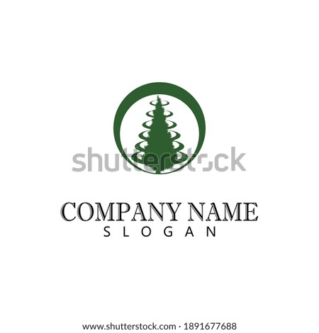 Cedar tree vector icon illustration design template