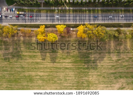 Agricultural field with winter wheat by the road. Aerial top view.