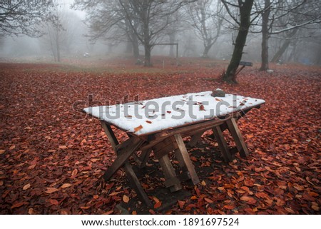 Old wooden table top covered to snow in winter forest. Snowy background. winter nature concept.
