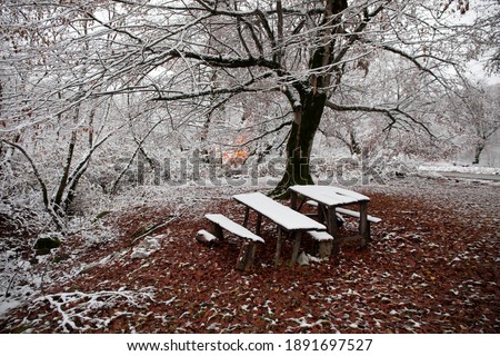 Old wooden table top covered to snow in winter forest. Snowy background. winter nature concept.