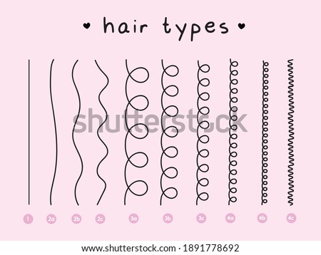 Vector Illustration of a Hair Types chart displaying all types Curl types wavy types Royalty-Free Stock Photo #1891778692