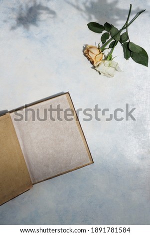 old book and rose flower with leaf shadow