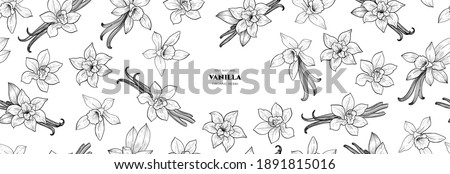 Vector frame with vanilla flowers and pods. Vector seamless pattern. Hand drawn illustrations. Royalty-Free Stock Photo #1891815016
