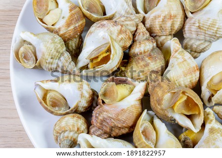 
Whelks on a white plate Royalty-Free Stock Photo #1891822957