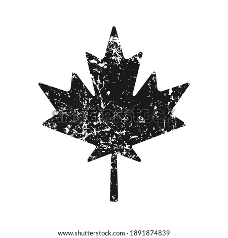 Maple leaf vector shape icon. Grunge texture. Forest and wood symbol sign. Nature tree logo. Canada label. Clip-art silhouette.