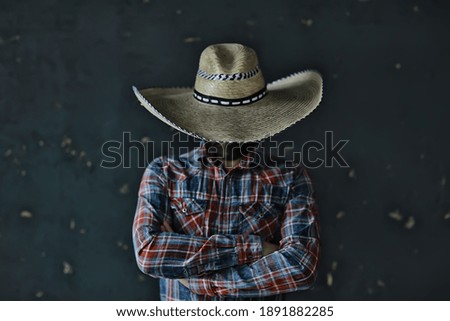 man in a hat with straw brim, hides his face, incognito guy, abstract country music style america west