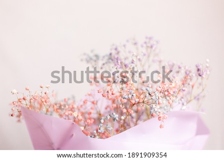 Beautiful decoration cute little dried colorful flowers, background, wallpaper.
