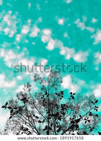 Silhouette of tree and sky blue background