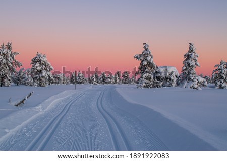 amazing winter landscape on hedmarksvidda in innlandet county norway with snow covered trees and skiing tracks 