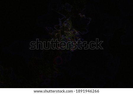 Abstract monochrome black photo of plant with neon edges